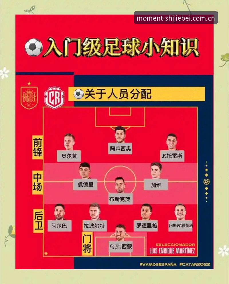 世界杯竞猜平台使用教程：从新手到老手的完整操作指南
